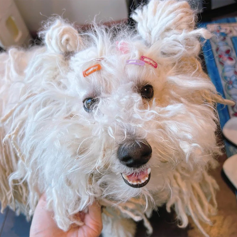 Sometimes fate is so wonderful 🥰🥰🥰🥰🥰🥰 - MemoryTails