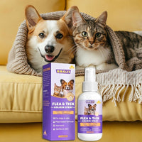 š„ 2025 Limited Offer 70% ļøā³ Flea & Tick Kolirin Spray - MemoryTails