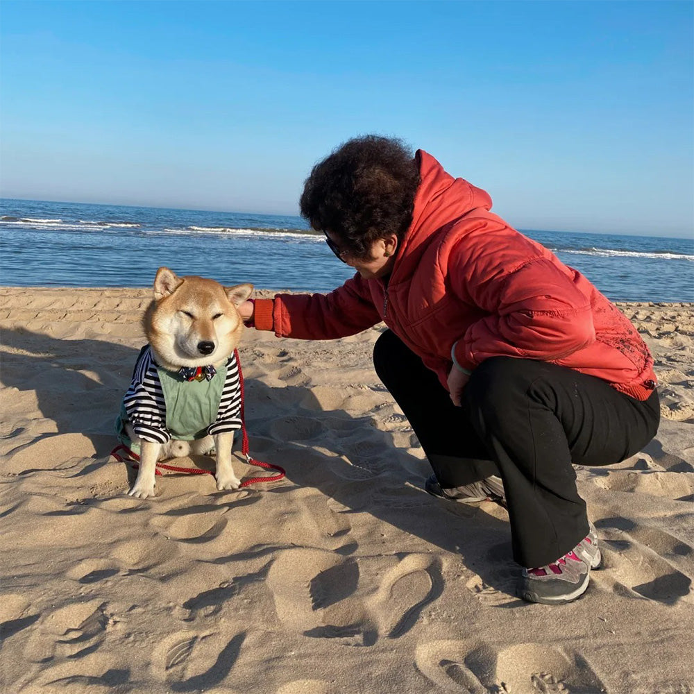 A strange grandmother gave my little dog a long hug