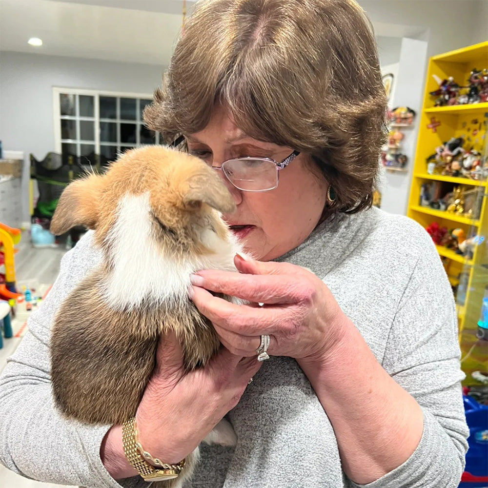 I was in tears at the teacher's story with her cat