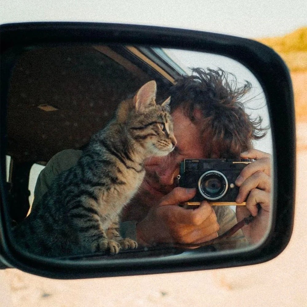 Love with cats - MemoryTails