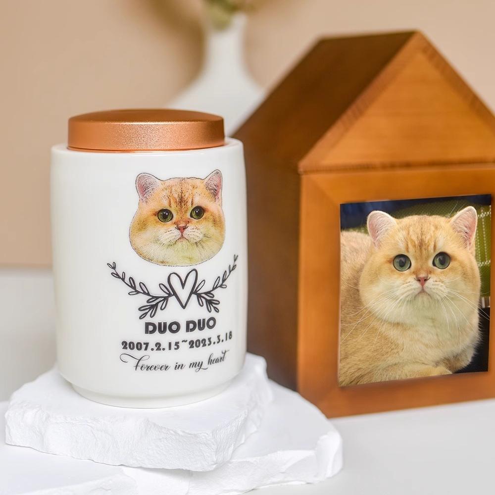 Eternal Whiskers Memorial Urn