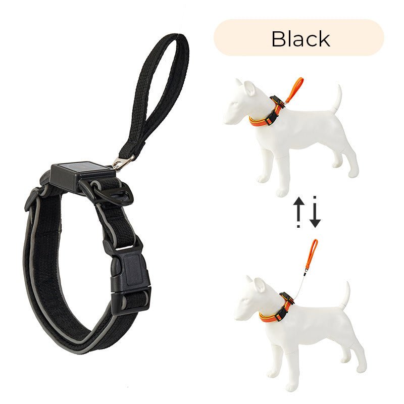 Auto Retractable Leash - MemoryTails