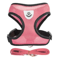 Cat & Dog Harness & Leash - MemoryTails