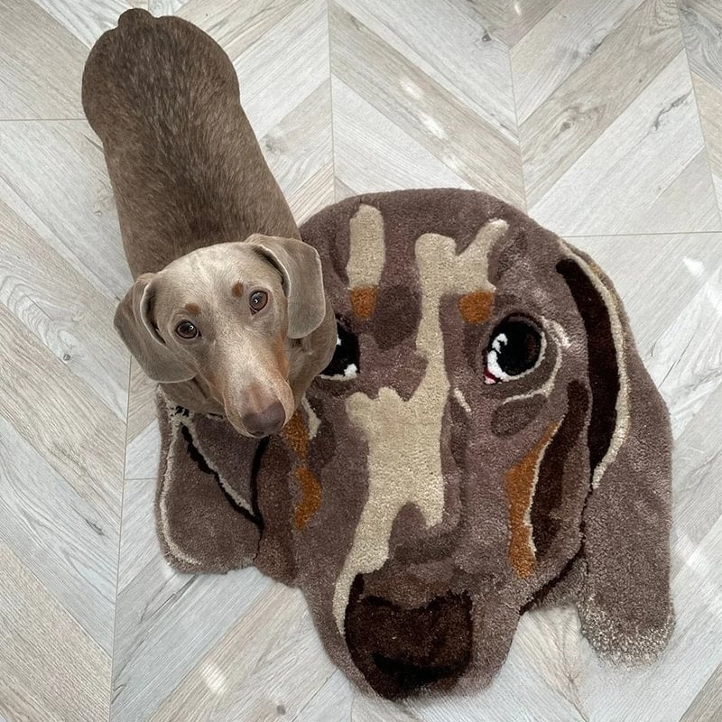 Custom Pet Braided Rugs - MemoryTails