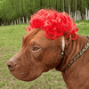 FurryTress Pet Wig – Funny Wig for Cats & Dogs - MemoryTails