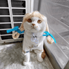 FurryTress Pet Wig – Funny Wig for Cats & Dogs - MemoryTails