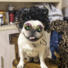 FurryTress Pet Wig – Funny Wig for Cats & Dogs - MemoryTails