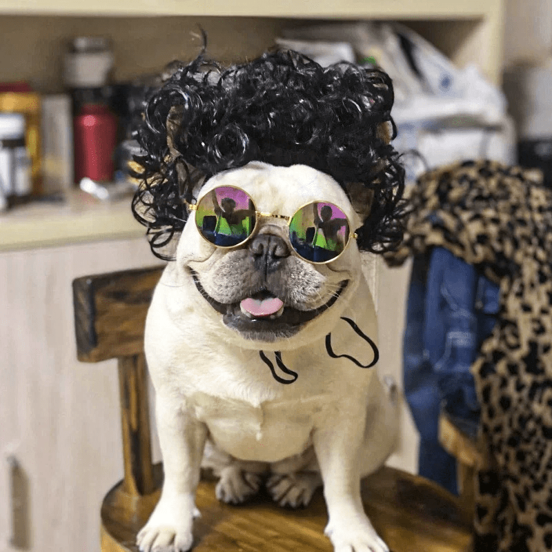 FurryTress Pet Wig – Funny Wig for Cats & Dogs - MemoryTails