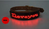 LED Pet Collar - MemoryTails