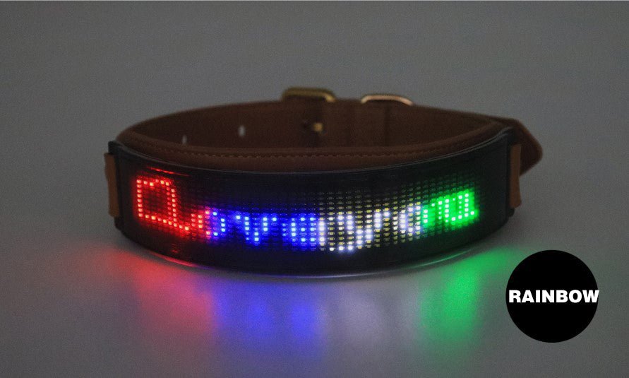 LED Pet Collar - MemoryTails