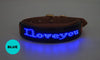 LED Pet Collar - MemoryTails
