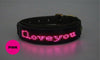 LED Pet Collar - MemoryTails