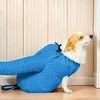 Pet Bathing and Drying Bag - MemoryTails