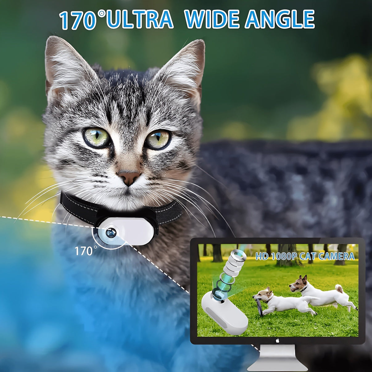 Rotatable thumb action camera pet collar - MemoryTails