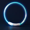 USB Rechargeable LED Dog Collar – Luminous Anti - Lost Pet Collar for Night Safety - MemoryTails