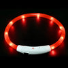 USB Rechargeable LED Dog Collar – Luminous Anti - Lost Pet Collar for Night Safety - MemoryTails