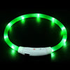 USB Rechargeable LED Dog Collar – Luminous Anti - Lost Pet Collar for Night Safety - MemoryTails