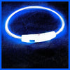 USB Rechargeable LED Dog Collar – Luminous Anti - Lost Pet Collar for Night Safety - MemoryTails