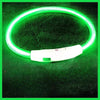 USB Rechargeable LED Dog Collar – Luminous Anti - Lost Pet Collar for Night Safety - MemoryTails