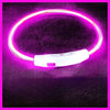 USB Rechargeable LED Dog Collar – Luminous Anti - Lost Pet Collar for Night Safety - MemoryTails