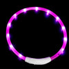 USB Rechargeable LED Dog Collar – Luminous Anti - Lost Pet Collar for Night Safety - MemoryTails