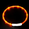 USB Rechargeable LED Dog Collar – Luminous Anti - Lost Pet Collar for Night Safety - MemoryTails