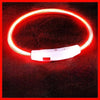 USB Rechargeable LED Dog Collar – Luminous Anti - Lost Pet Collar for Night Safety - MemoryTails