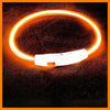 USB Rechargeable LED Dog Collar – Luminous Anti - Lost Pet Collar for Night Safety - MemoryTails