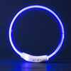 USB Rechargeable LED Dog Collar – Luminous Anti - Lost Pet Collar for Night Safety - MemoryTails